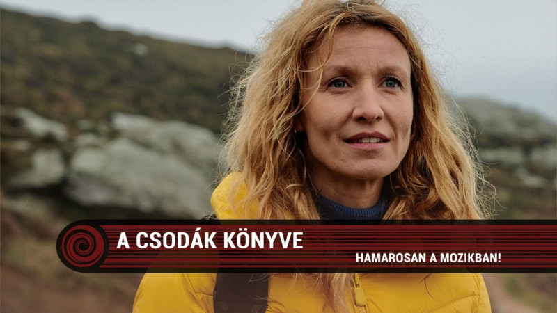 A csodák könyve (16)