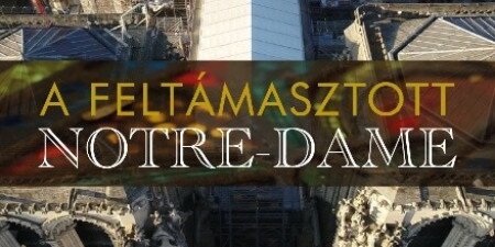 A feltámasztott Notre-Dame (6)