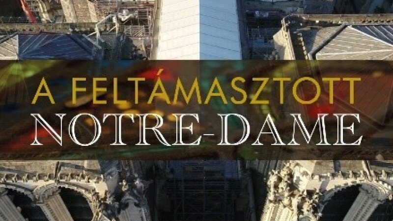 A feltámasztott Notre-Dame (6)