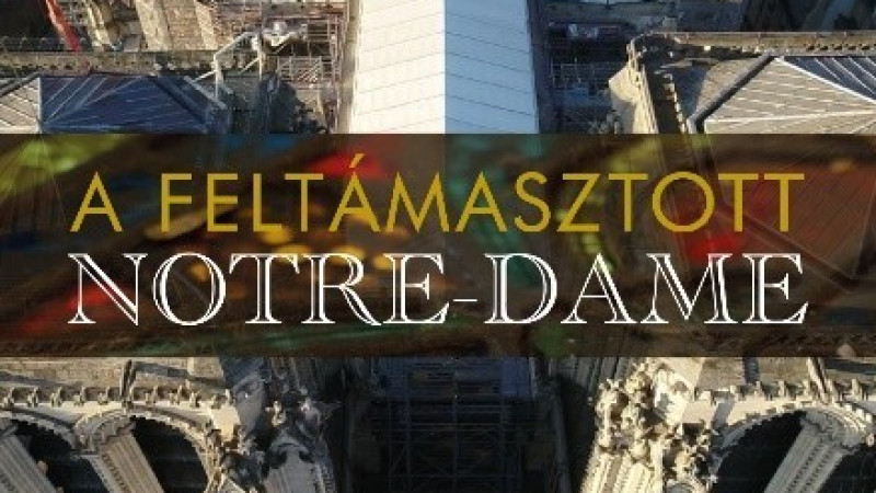 A feltámasztott Notre-Dame (6)