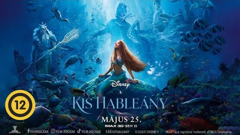 A kis hableány (12)