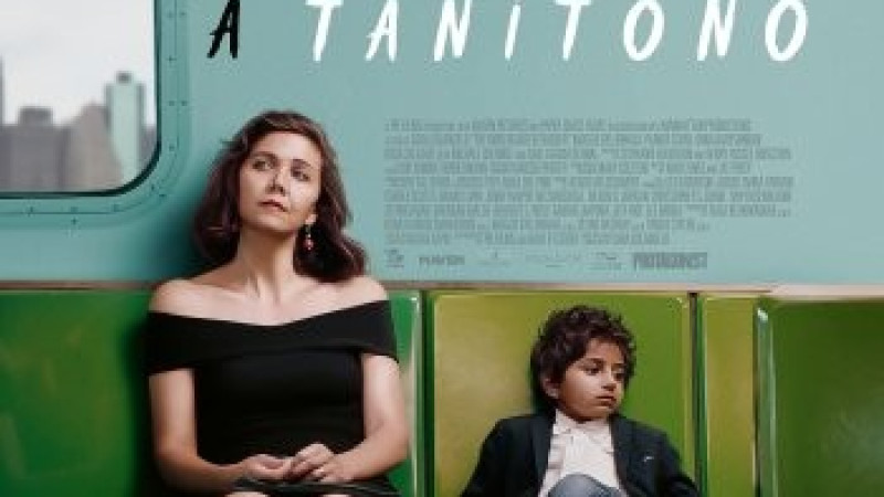 A tanítónő (16)