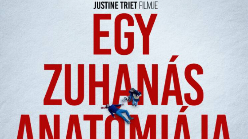 Egy zuhanás anatómiája (16)