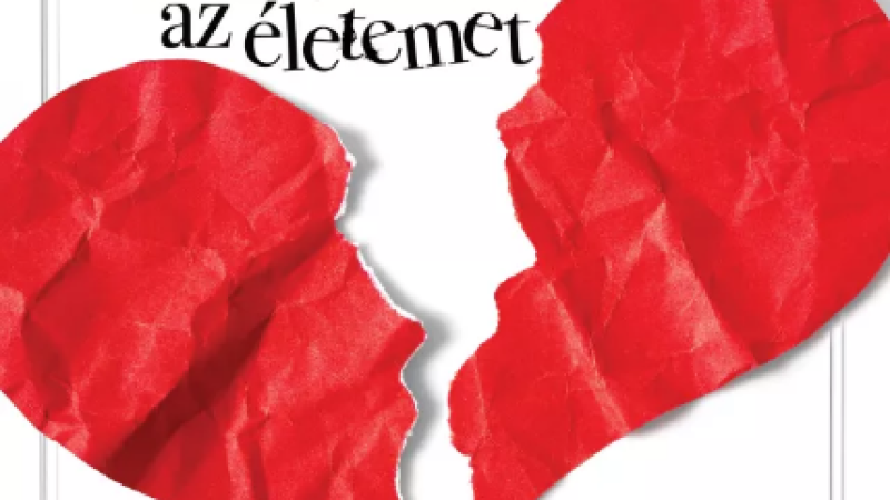 Jane Austen tette tönkre az életemet (12)