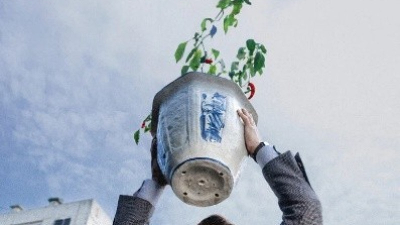 Nincs más választás (16) /felirat/