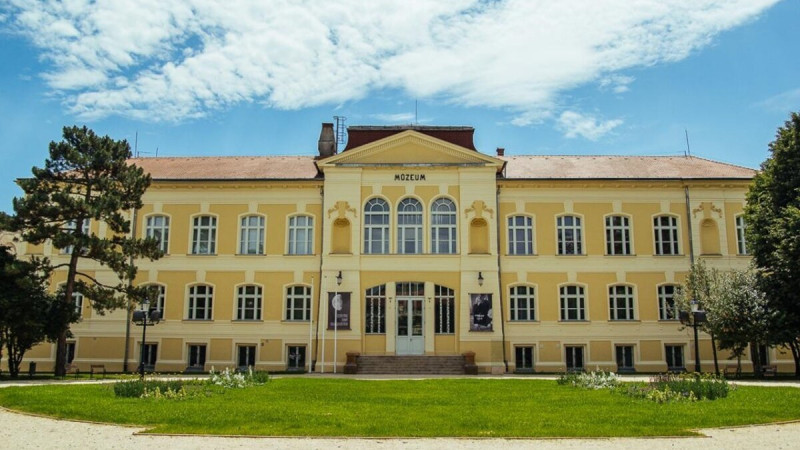Savaria Megyei Hatókörű Városi Múzeum