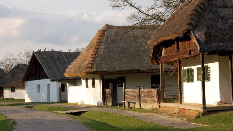 Vasi Skanzen